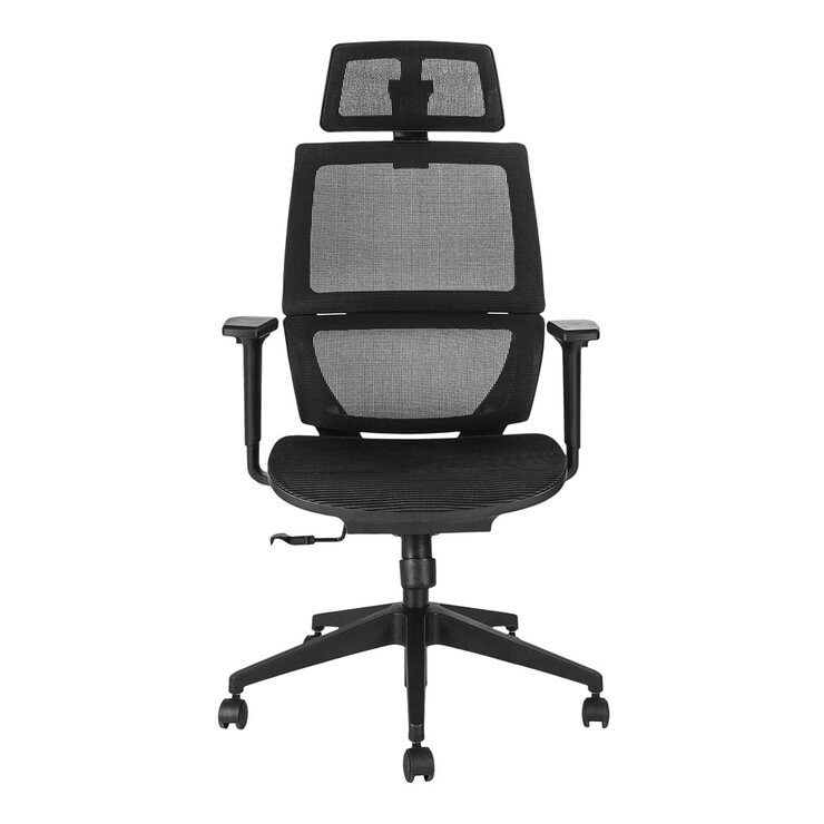 Backbone Mamba 人體工學全網椅