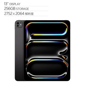 Apple 13 吋 iPad Pro Wi‑Fi 256GB 配備標準玻璃