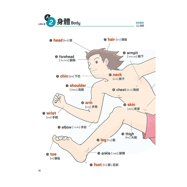 小學生必備英語(3冊合售) 小學生必備英語圖解字典＋小學生必備英語會話開口說＋小學生必備英語閱讀力