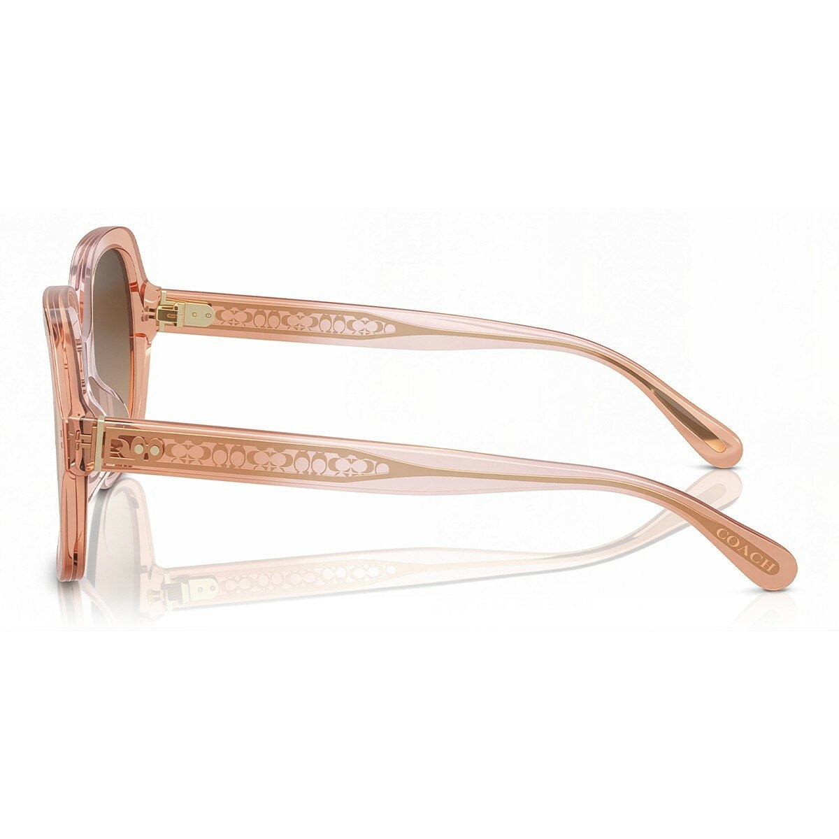 COACH 太陽眼鏡 0HC8395U 581274 粉色