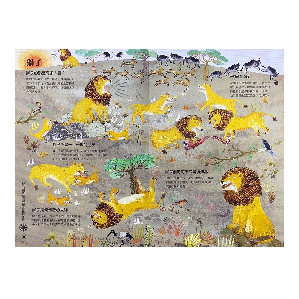 經典科普自然大書:蟲蟲大書+野獸大書+海洋大書