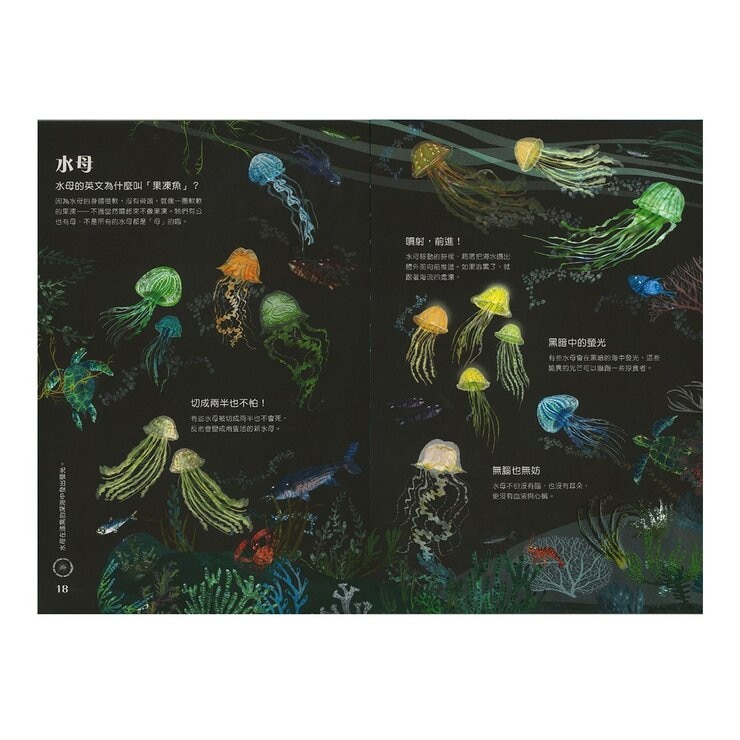 經典科普自然大書:蟲蟲大書+野獸大書+海洋大書