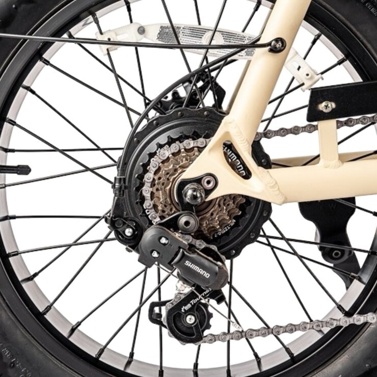 ZAU EB-500 電輔車