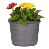 塑膠花盆 3件組 灰色