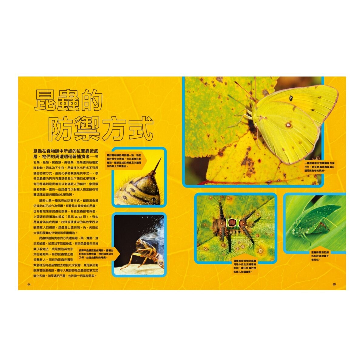 國家地理終極昆蟲百科：史上最完整的昆蟲大全 新版