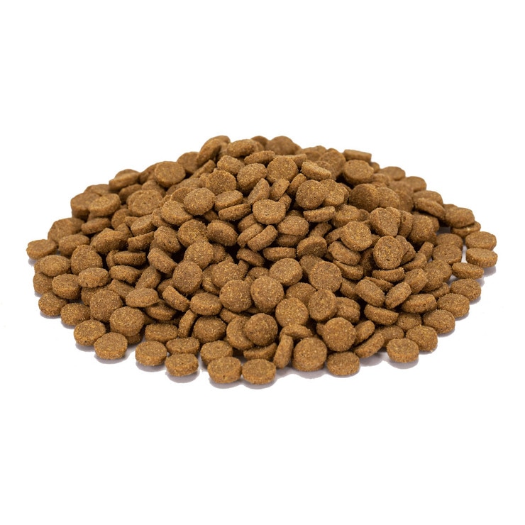 科克蘭 雞肉&米配方 七歲以上乾狗糧 18.14公斤