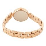 DKNY 女錶 City Link 系列 RS GLD NY2826