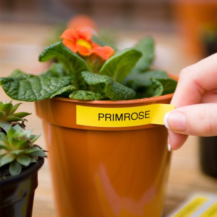 Brother TZe 基本標籤帶 3入 X 2組