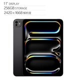 Apple 11 吋 iPad Pro Wi‑Fi 256GB 配備標準玻璃