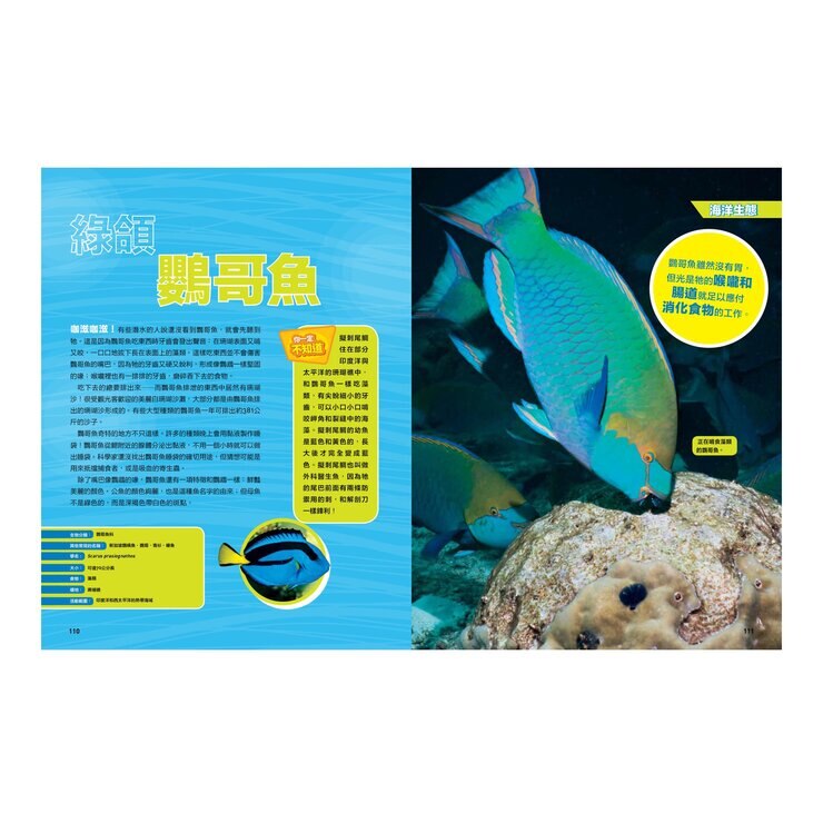 國家地理終極海洋百科：史上最完整的海洋大全 新版