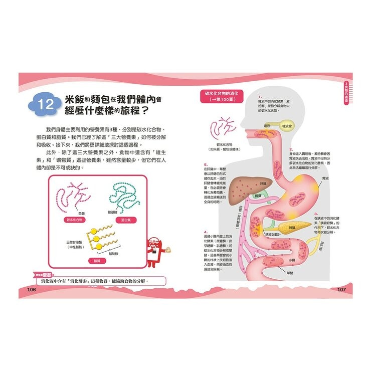 兒童伽利略1-8冊(全套8冊) 動物學校＋恐龍學校＋太陽系學校＋人體學校＋飛機學校＋地球學校＋海洋學校＋天氣學校