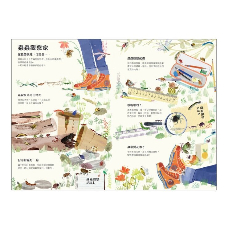 經典科普自然大書:蟲蟲大書+野獸大書+海洋大書