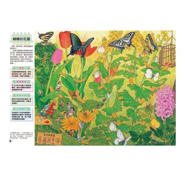 知識大迷宮：自然界大探索套書（共３冊）：昆蟲迷宮＋動物迷宮＋水世界迷宮