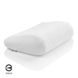 丹普 時尚枕 50公分 X 31公分 X 5-10公分