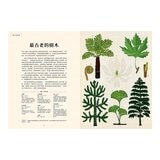 樹木博物館【台灣獨家封面版】