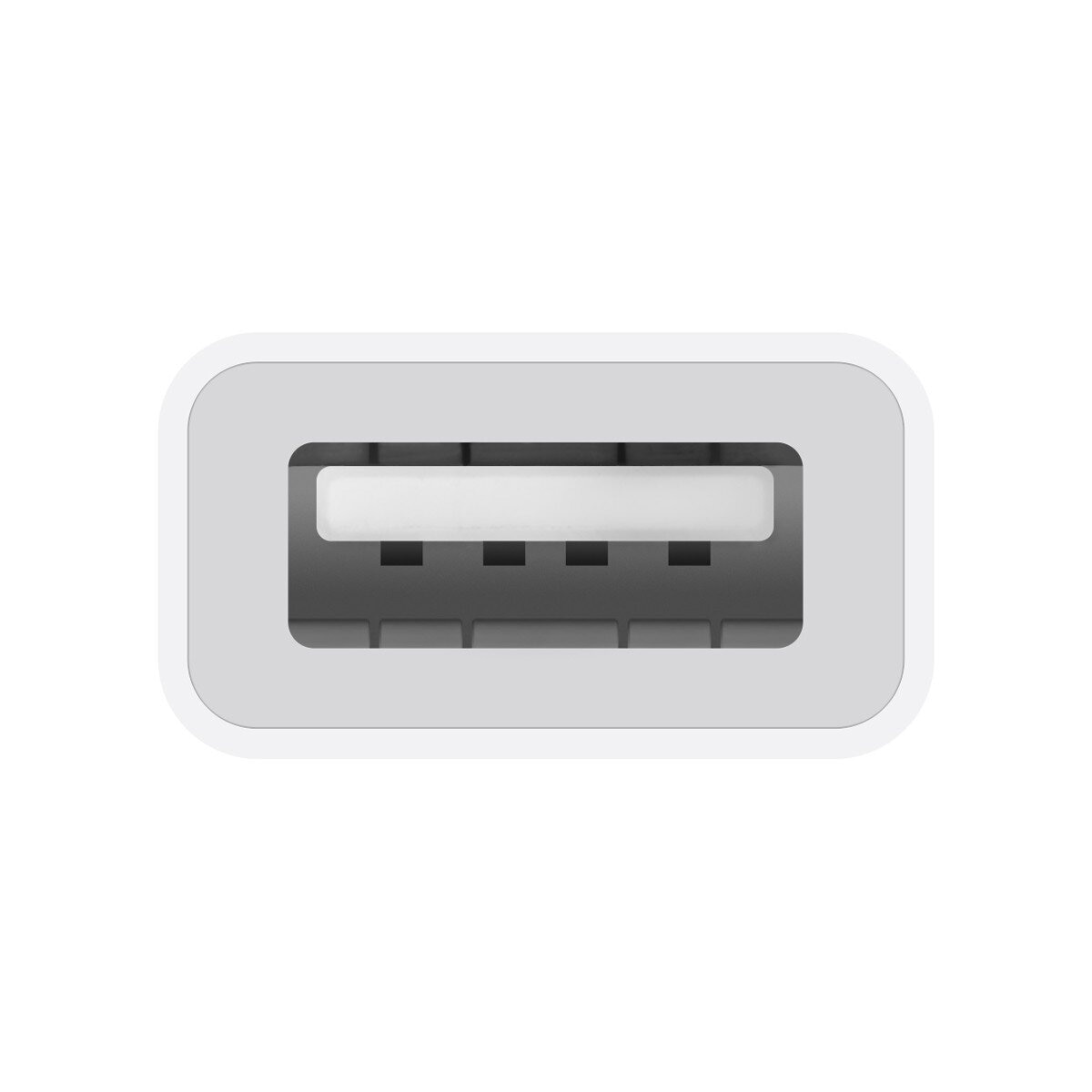 Apple USB-C 對 USB 轉接器
