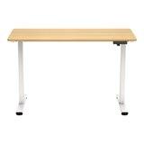 Flexispot 電動升降桌