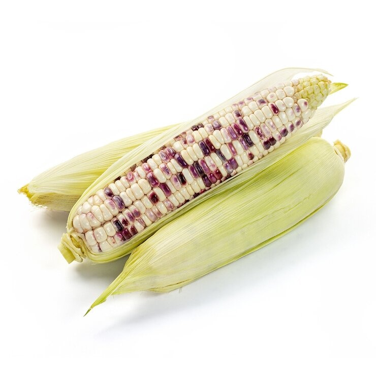 產銷履歷白紫糯玉米 1.8公斤