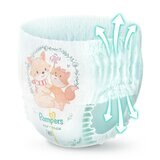 幫寶適 極上守護 一級幫拉拉褲 L號 150片