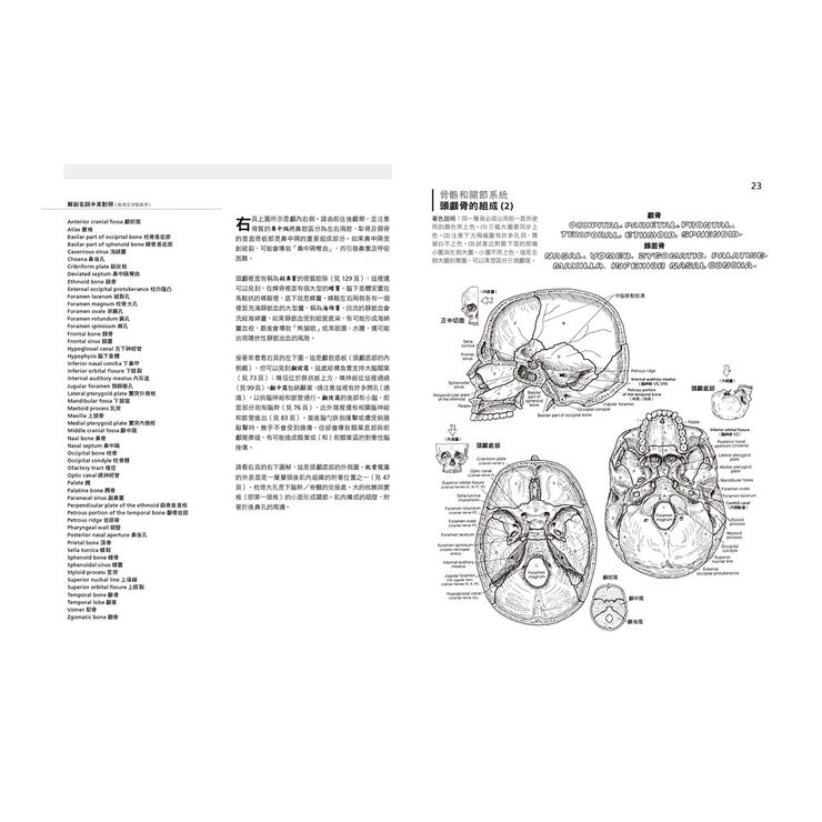 人體解剖著色學習手冊 + 12色彩色鉛筆 ：邊看邊畫邊學，為知識上色，更有趣、更輕鬆、更好記