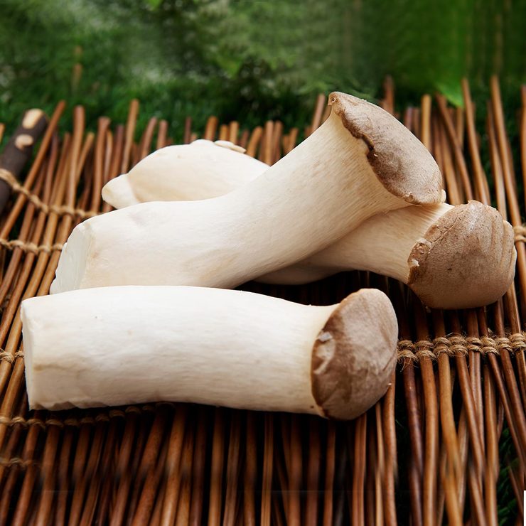 有機杏鮑菇 900公克