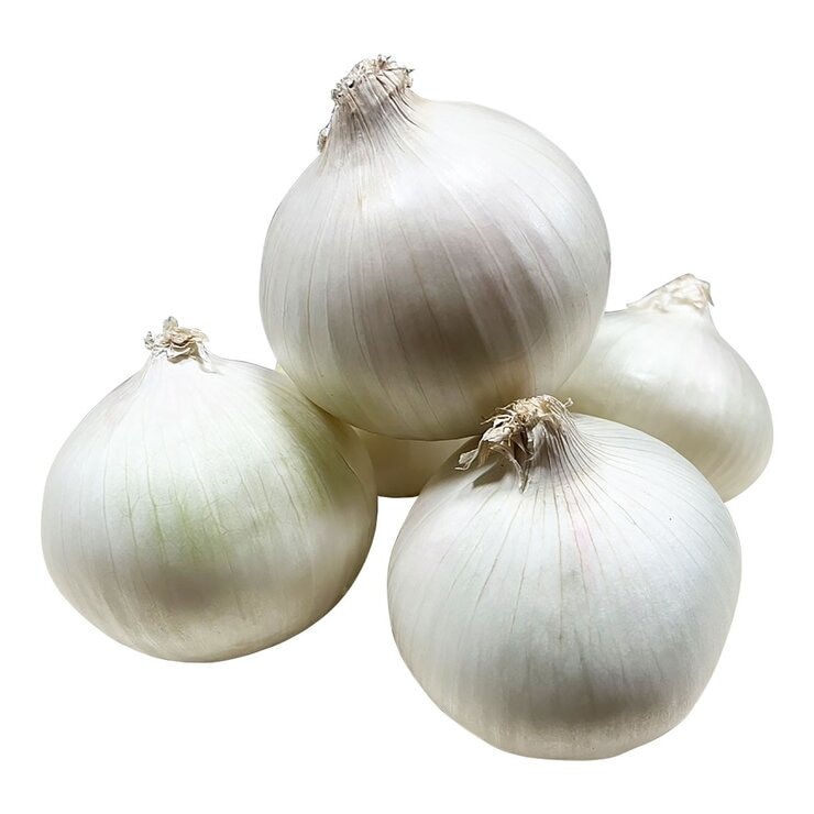 進口牛奶洋蔥 6公斤