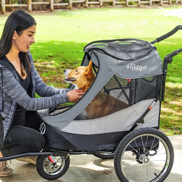 Petique Trailblazer Pet Jogger Space Gray