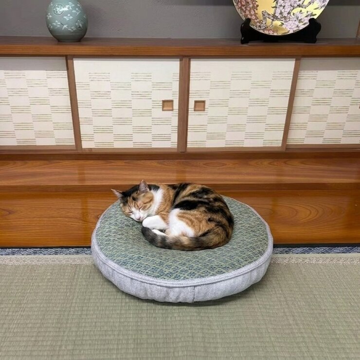 日式寵物床