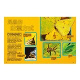 國家地理終極昆蟲百科：史上最完整的昆蟲大全 新版
