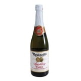 Martinelli's 氣泡蘋果汁 750毫升 X 4入