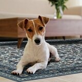 Wyatt & Ash 印花可水洗地毯 2入組 印花