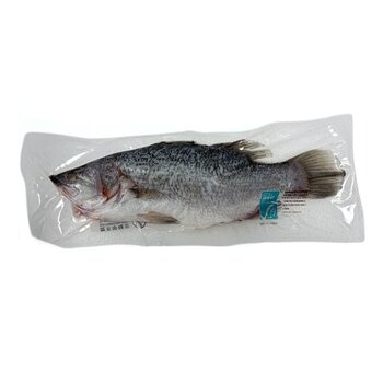 ASC 金目鱸魚