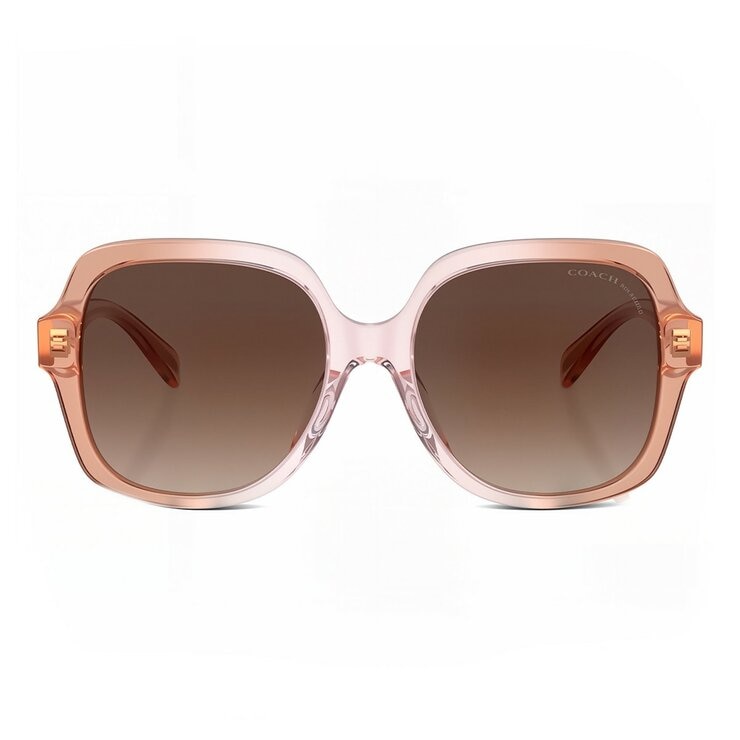 COACH 太陽眼鏡 0HC8395U 581274 粉色
