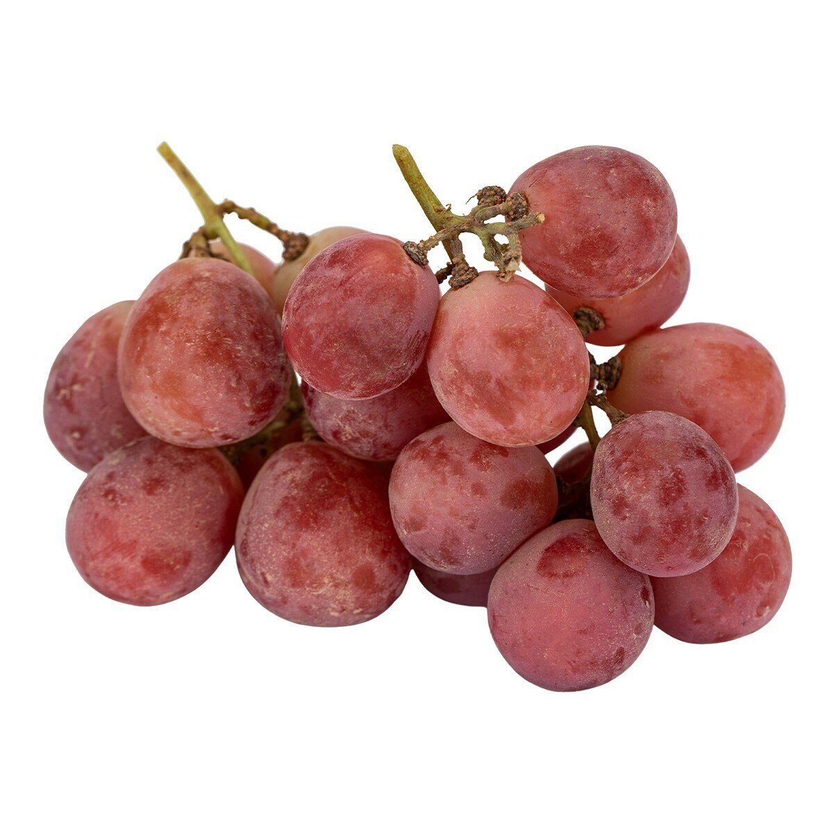 祕魯無籽紅葡萄 1.3公斤 祕魯無籽紅葡萄 1.3公斤