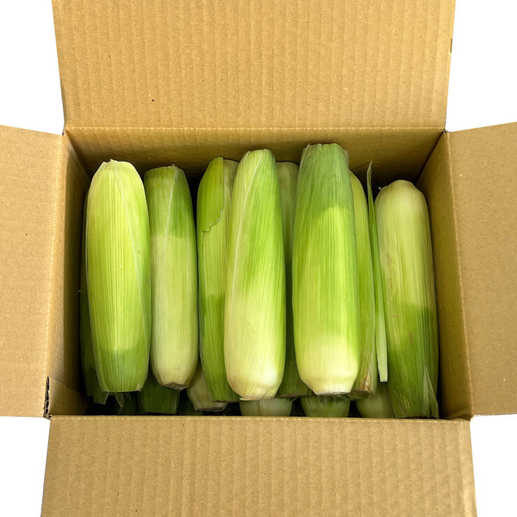 玉美 產銷履歷甜玉米 5公斤