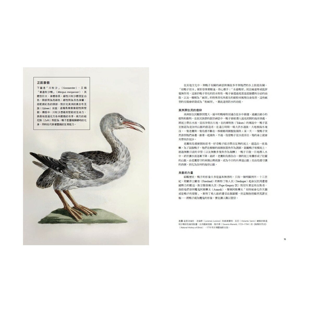 鳥類傳說：從羽翼到寓意，鳥的神話、象徵、生態奧祕與人類千年想像