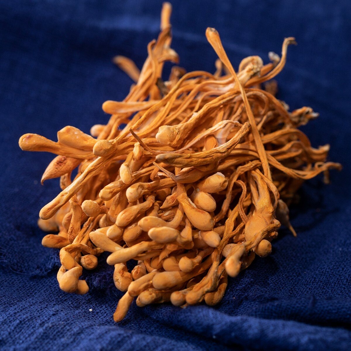 禾煜 蛹蟲草 270公克