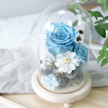 一禮莊園 中型鐘罩藍色永生花