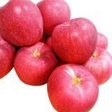 日本大紅榮蘋果 10公斤 (22-24入)