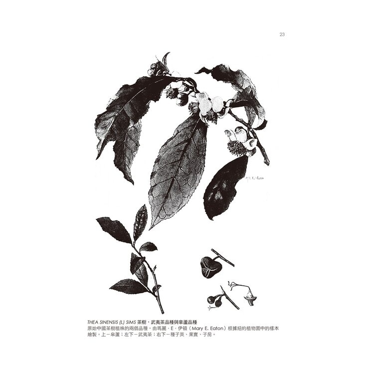 最精彩的茶典鉅著 + 茶的能量球 (3冊)