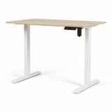 Backbone Dyback Lite 電動升降桌 100公分 X 60公分 木紋