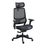 ERGOKING S5 人體工學椅 黑框黑網