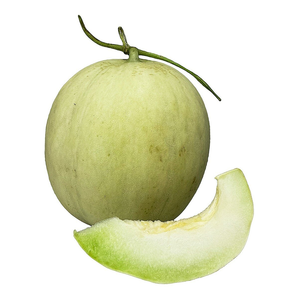 光面哈密瓜 1.5公斤