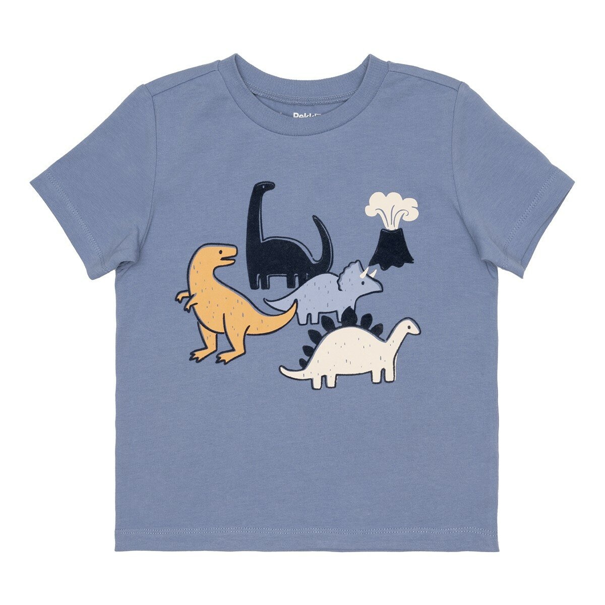 Pekkle 幼童服飾四件套組 恐龍 5T