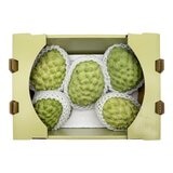 鳳梨釋迦 2.4公斤