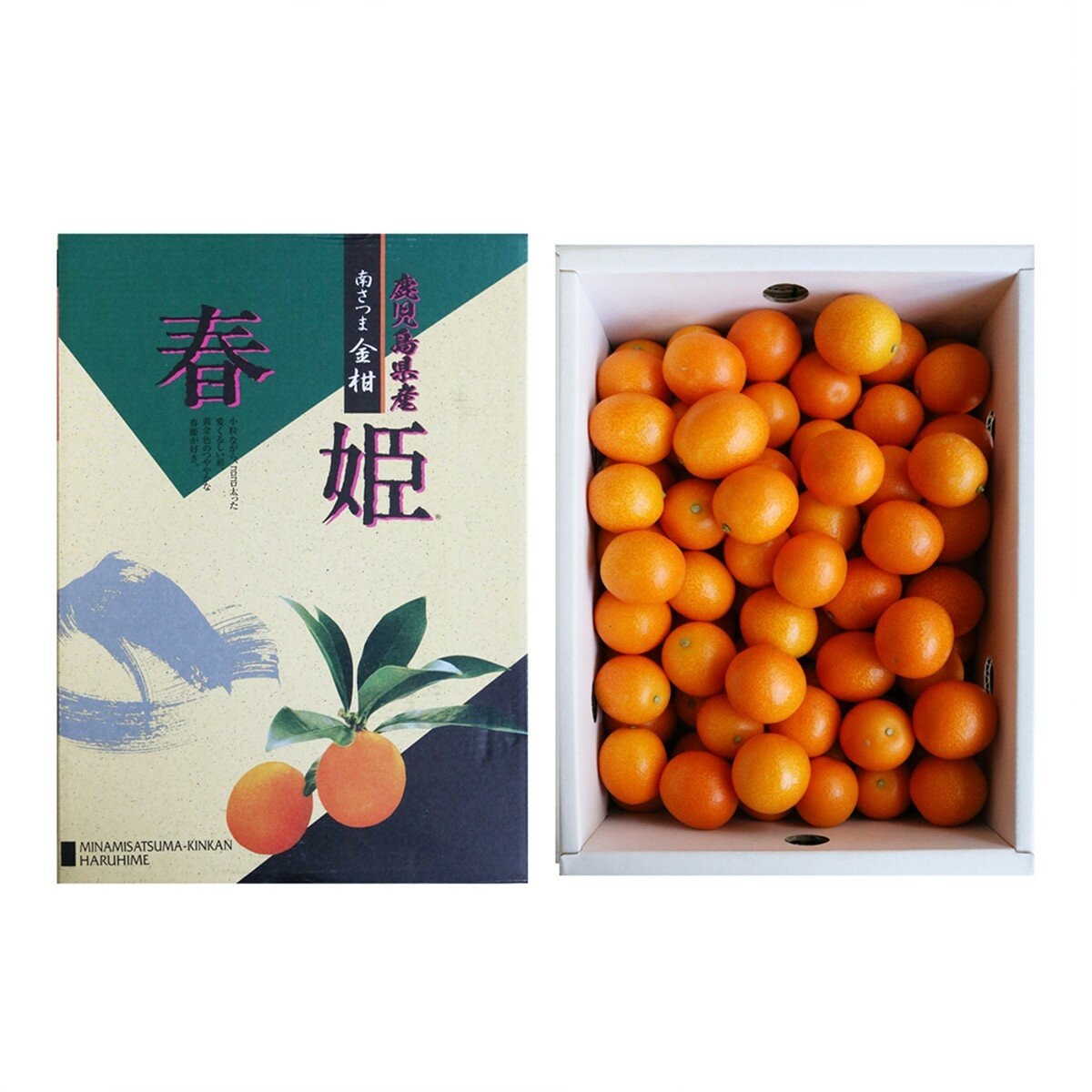 日本鹿兒島金柑禮盒 2公斤