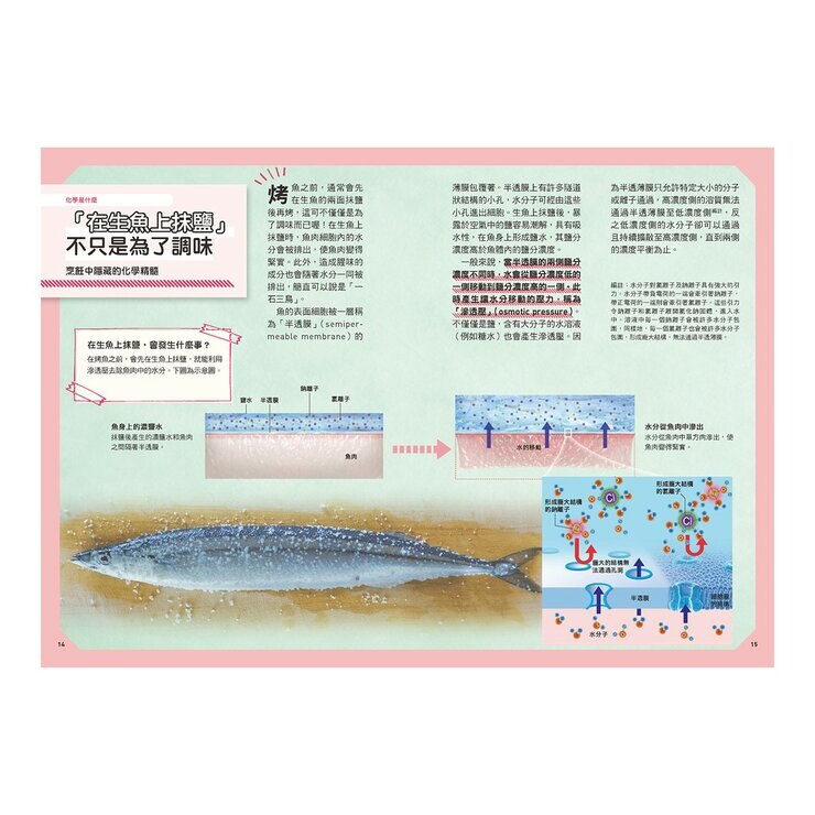 Galileo 新觀念伽利略(7-12) 套書：化學、週期表、光與色的科學、單位與定律、人體、手機腦與運動腦(共6冊)