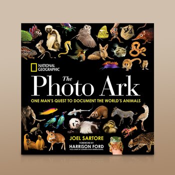 National Geographic 攝影書 National Geographic 攝影書