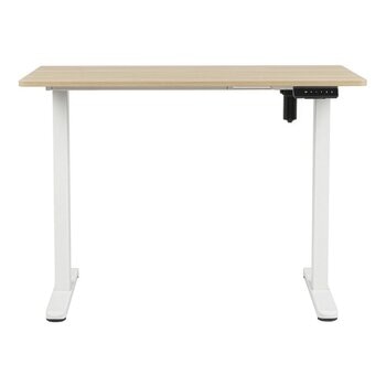 Backbone Dyback Lite 電動升降桌 100公分 X 60公分 木紋