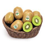 Zespri 紐西蘭綠奇異果 22入